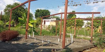 Oferta de construcción de viviendas en municipio Bolívar tiene 10 años y no ha sido cumplida 