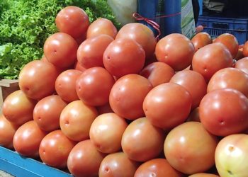 Táchira | El exorbitante aumento del tomate sorprendió a expendedores y compradores 