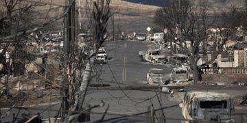 El horror de Annelise en Hawái: cuando saltar al mar es la única forma de sobrevivir