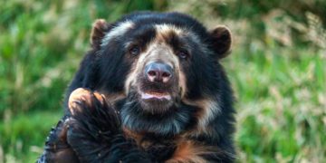 Parque Nacional Ramal de Calderas “Dr. José Gregorio Hernández” cumple dos años