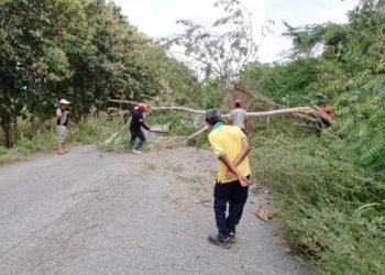 Labores de limpieza y remoción de escombros cumplió Alcaldía de La Ceiba
