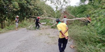 Labores de limpieza y remoción de escombros cumplió Alcaldía de La Ceiba