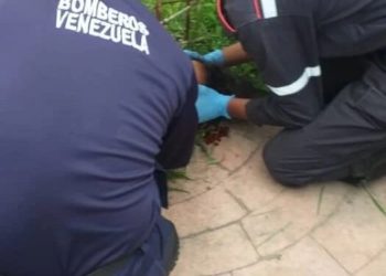Mujer se encuentra hospitalizada tras accidente vial en Boconó