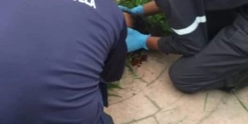 Mujer se encuentra hospitalizada tras accidente vial en Boconó