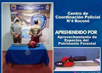 Arrestan a dos hombres por tala del patrimonio forestal en Boconó