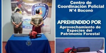 Arrestan a dos hombres por tala del patrimonio forestal en Boconó