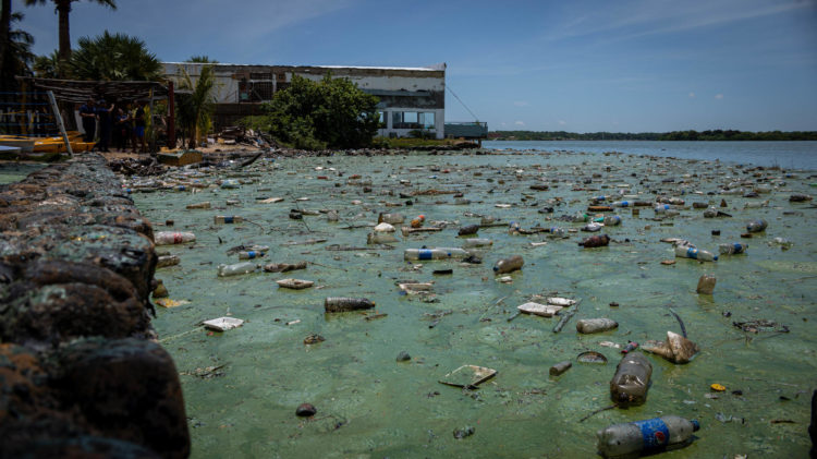Fotografía de archivo, tomada el pasado 19 de julio, en la que se registró una playa contaminada por desechos, petróleo derramado y la proliferación de verdín, sobre las aguas del Lago de Maracaibo, en el estado Zulia (Venezuela). EFE/ Henry Chirinos