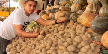 Verduras y hortalizas trujillanas: De la granja al plato