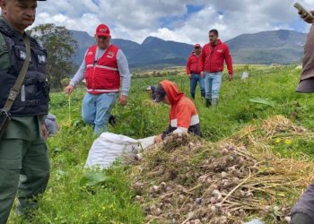 Ministerio de Agricultura realizará censo a productores de Rafael Urdaneta