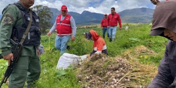 Ministerio de Agricultura realizará censo a productores de Rafael Urdaneta