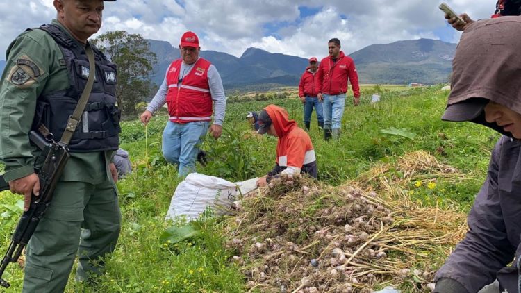 Comisión Nacional del Ministerio de Agricultura y Tierras estuvo en las 12 aldeas de Rafael Urdaneta. Fotos: Carlos Eduardo Ramírez