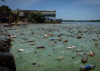 En La Ceiba recolectan 500 kilos de desechos del Lago de Maracaibo