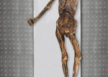 Ötzi, el Hombre de los Hielos, tenía la piel y los ojos oscuros y era posiblemente calvo