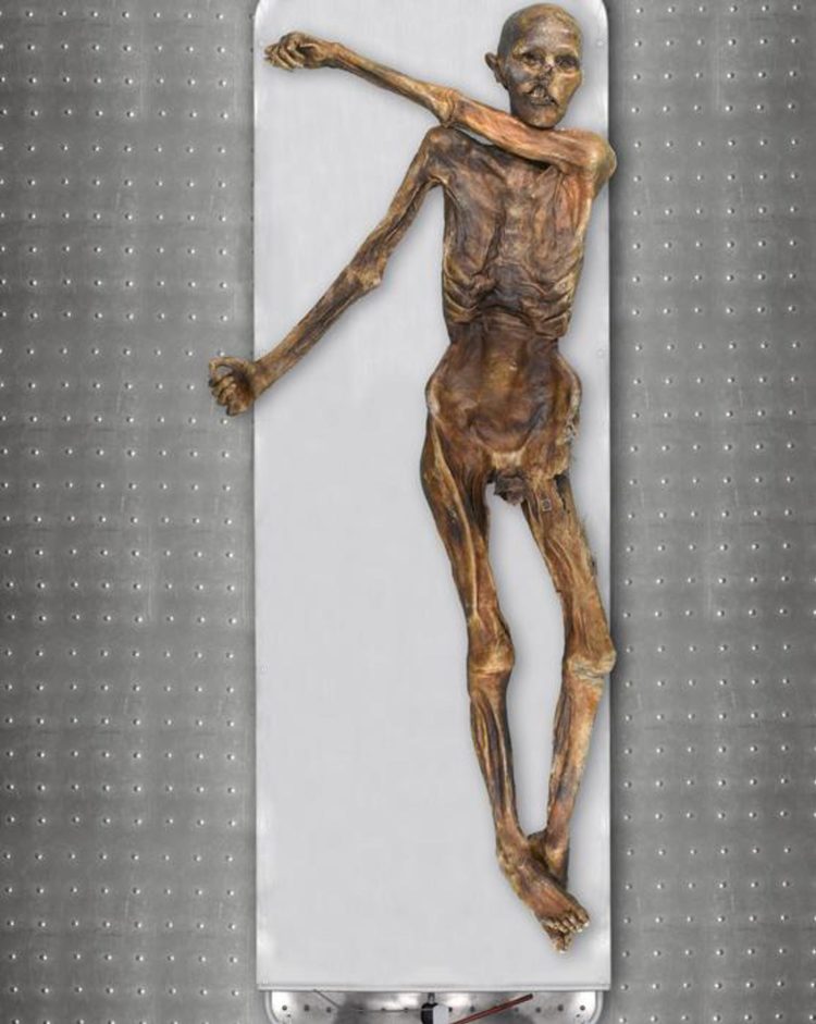 Ötzi, conocido como el Hombre de los Hielos, tiene más de 5.300 años de antigüedad y es la momia más antigua preservada en hielo que se conoce. Crédito: South Tyrol Museum of Archaeology/Eurac/Marco Samadelli-Gregor Staschitz/SOLO USO EDITORIAL
