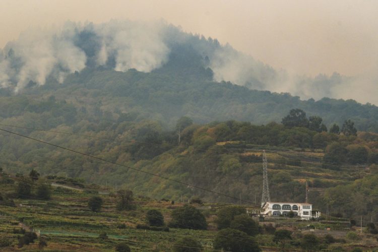 El incendio forestal que afecta a Tenerife se ha complicado en el norte de la isla y sigue sin control. En la imagen su avance por el municipio de La Victoria. EFE/Alberto Valdés