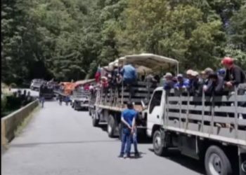 Contrabando colombiano llega a Caracas como Pedro por su casa mientras productores andinos se van a la ruina