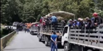 Contrabando colombiano llega a Caracas como Pedro por su casa mientras productores andinos se van a la ruina