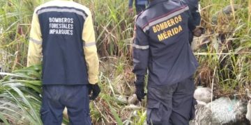 Otra vez: Restituyen paso por Onia