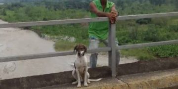 Hombre trató de saltar desde el Puente sobre el río Chama en El Vigía