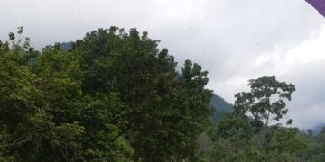 Zedeños disfrutaron de vuelos en parapentes