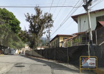 Comisión de Ambiente del CLEBM investiga la tala de árboles en Mérida