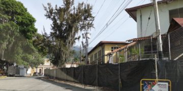 Comisión de Ambiente del CLEBM investiga la tala de árboles en Mérida