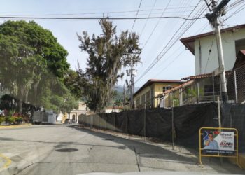Comisión Permanente de Ambiente y Ordenamiento Territorial del Consejo Legislativo merideño rechazó tala de árboles en parroquia Milla