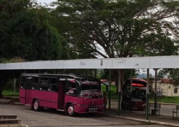 Ingreso de los venezolanos no aguanta para sostener estructura de gastos del hogar
