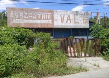¡Ah rigor! Lo que quedó de la expropiada Agroisleña