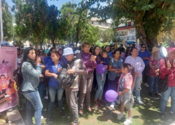 Instituciones merideñas marcharon contra la discriminación hacia las mujeres