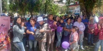 Instituciones merideñas marcharon contra la discriminación hacia las mujeres