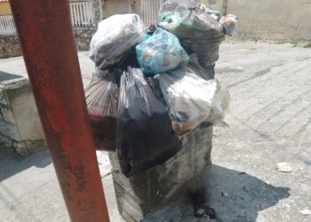 Habitantes del Cucharito denuncian tener problemas con el servicio de aseo urbano