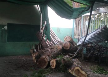 Trabajos de poda de Protección Civil afectaron estructura del C.E.I. “Rómulo Gallegos” en San Luis
