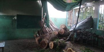 Trabajos de poda de Protección Civil afectaron estructura del C.E.I. “Rómulo Gallegos” en San Luis