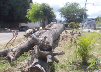 Abunda  la basura en las calles de Betijoque
