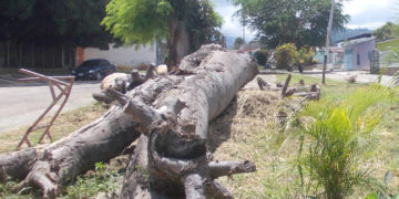 Abunda  la basura en las calles de Betijoque