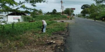 Elecciones primarias del domingo 22 octubre serán  de 8 de la mañana a 4 de la tarde