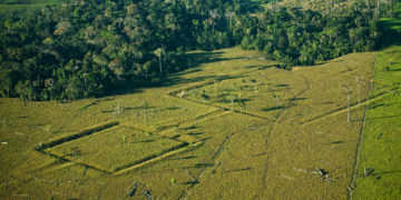 La Amazonía albergaría más de 10.000 sitios arqueológicos por descubrir