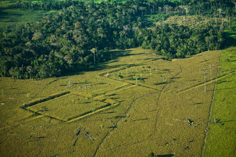 Movimiento de tierras por la acción humana en el paisaje amazónico. Mauricio de Paiva