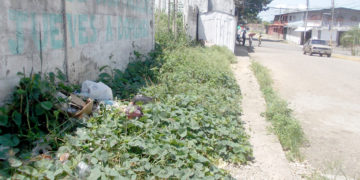 Pésima distribución de agua en Betijoque