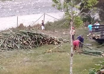 Denuncian delito ambiental en Boconó