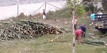 Denuncian delito ambiental en Boconó