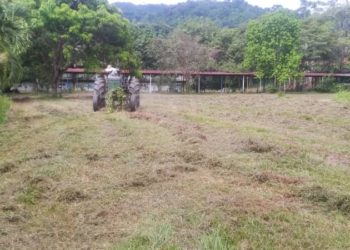Despliegan trabajos de mantenimiento y conservación en la Villa Universitaria