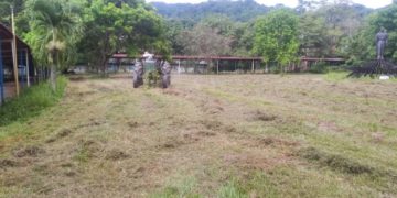 Despliegan trabajos de mantenimiento y conservación en la Villa Universitaria