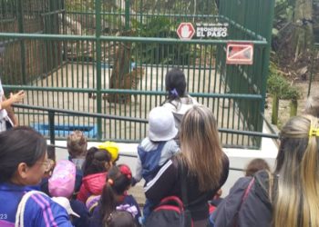 Mérida | El Parque Zoológico Chorros de Milla arriba a su 70 aniversario