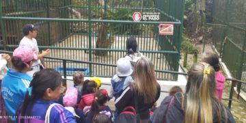 Mérida | El Parque Zoológico Chorros de Milla arriba a su 70 aniversario