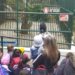 Mérida | El Parque Zoológico Chorros de Milla arriba a su 70 aniversario