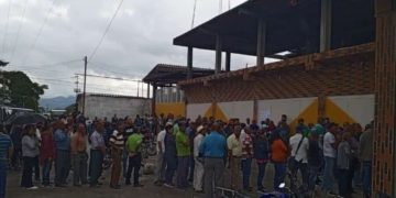 Trujillo | Primaria en Boconó: Afluencia de votantes y rapidez en el proceso