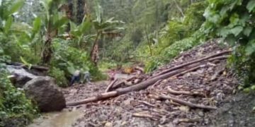 Monte Carmelo sin paso luego de las lluvias de este jueves