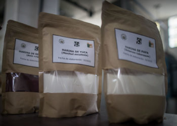 La harina como alimento inclusivo, un proyecto científico de Venezuela